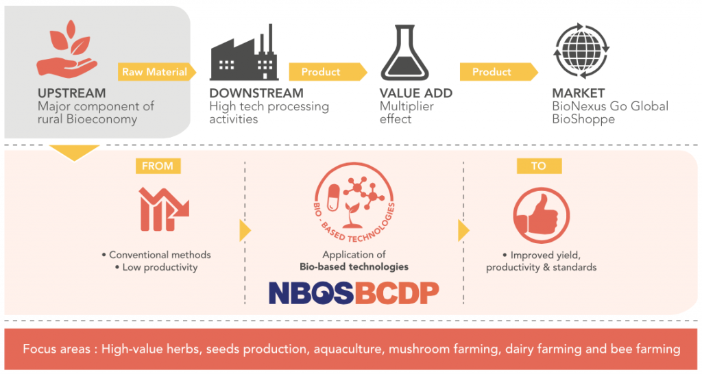 Implementation of BCDP